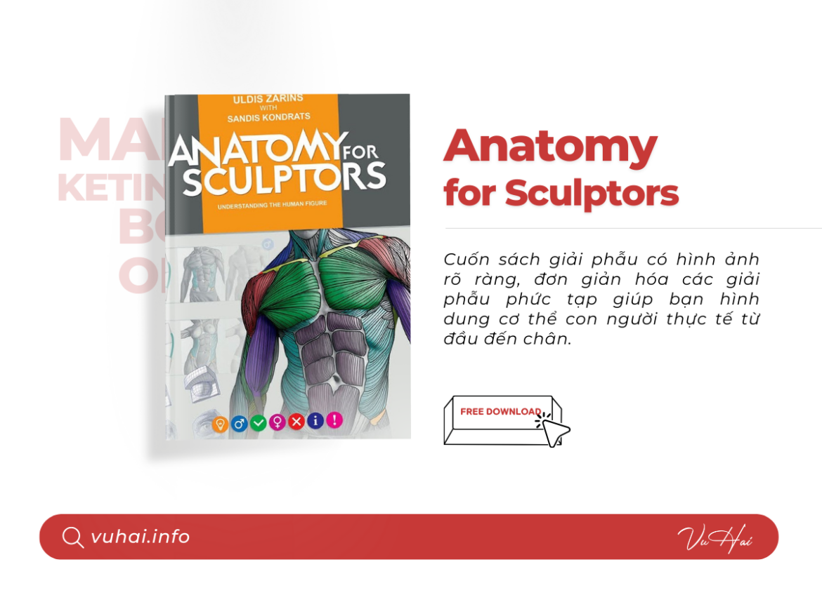 Anatomy for sculptors