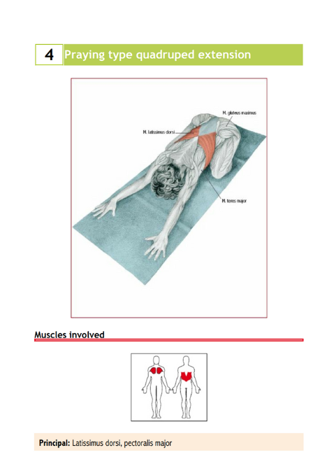 Stretching Exercises Encyclopedia