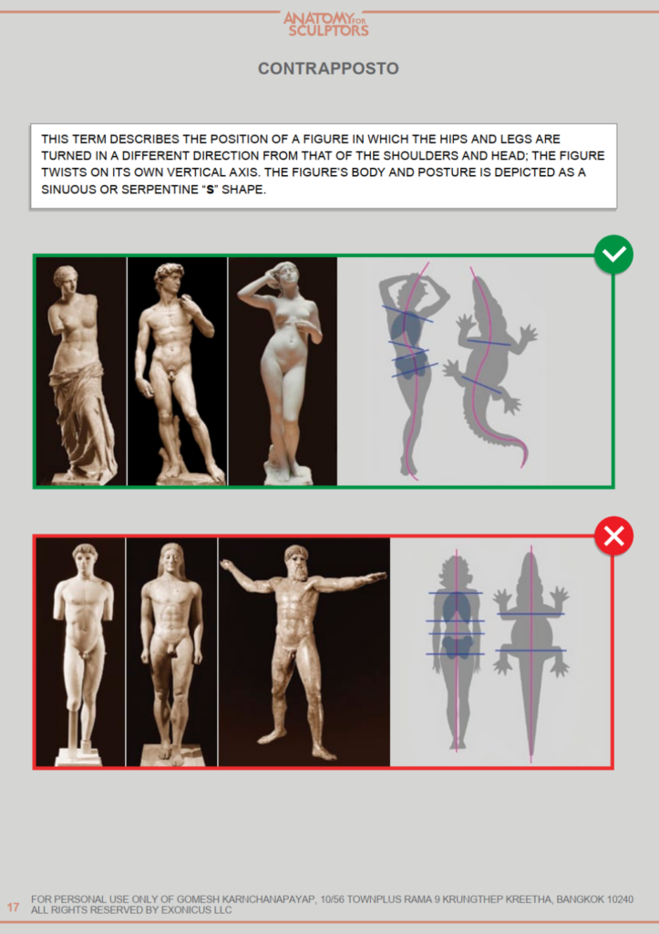 Anatomy for Sculptors