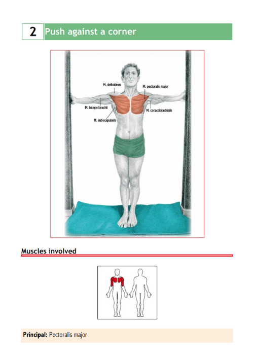 Stretching Exercises Encyclopedia