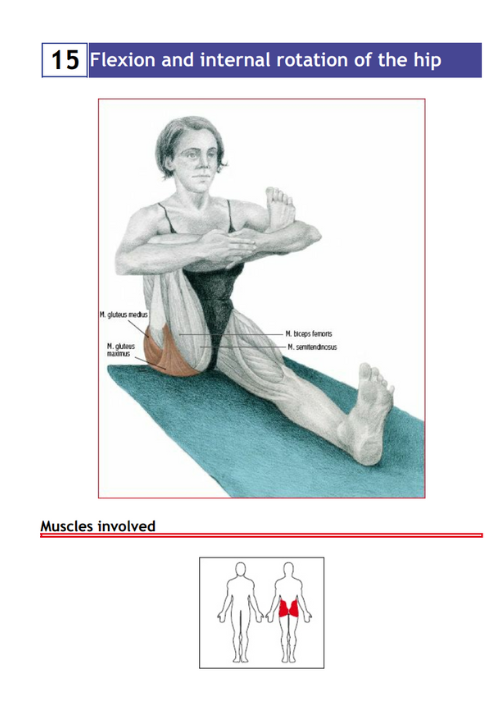 Stretching Exercises Encyclopedia