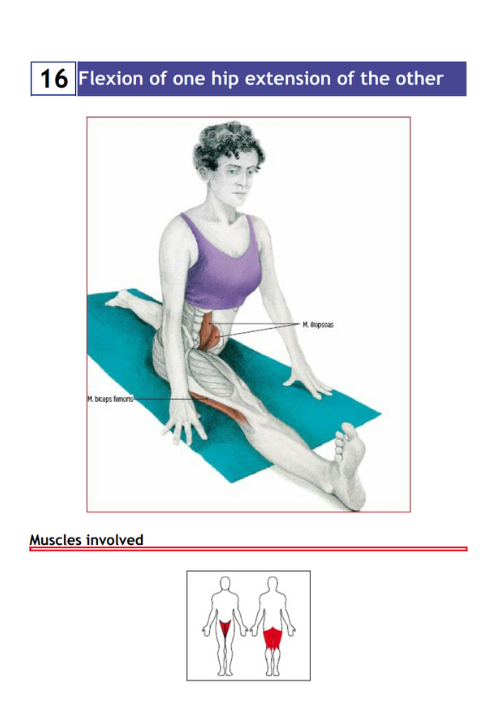 Stretching Exercises Encyclopedia