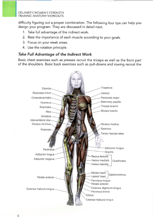 Sách Delavier's Women's Strength Training Anatomy Workouts