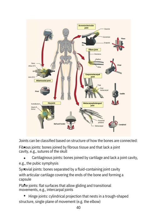 ACSM New 2018 Certification Review