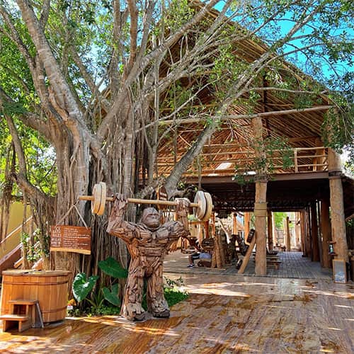 Tulum Jungle gym thiết kế độc đáo
